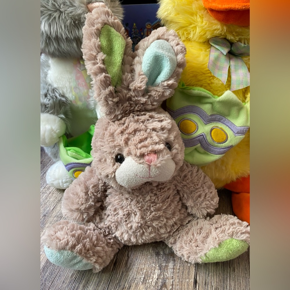 Adorable Fluffy Bunny Plush -